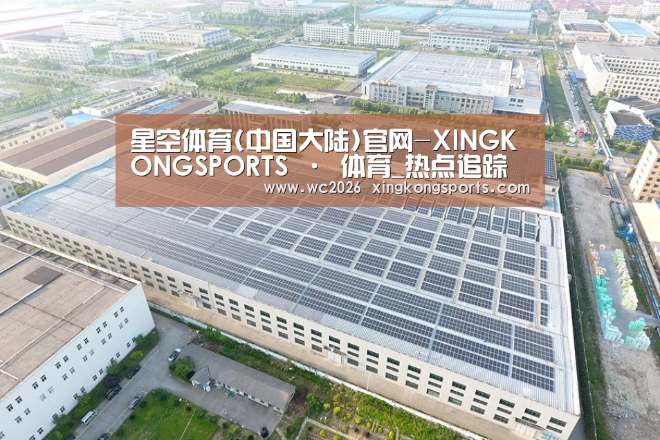 案例展示一