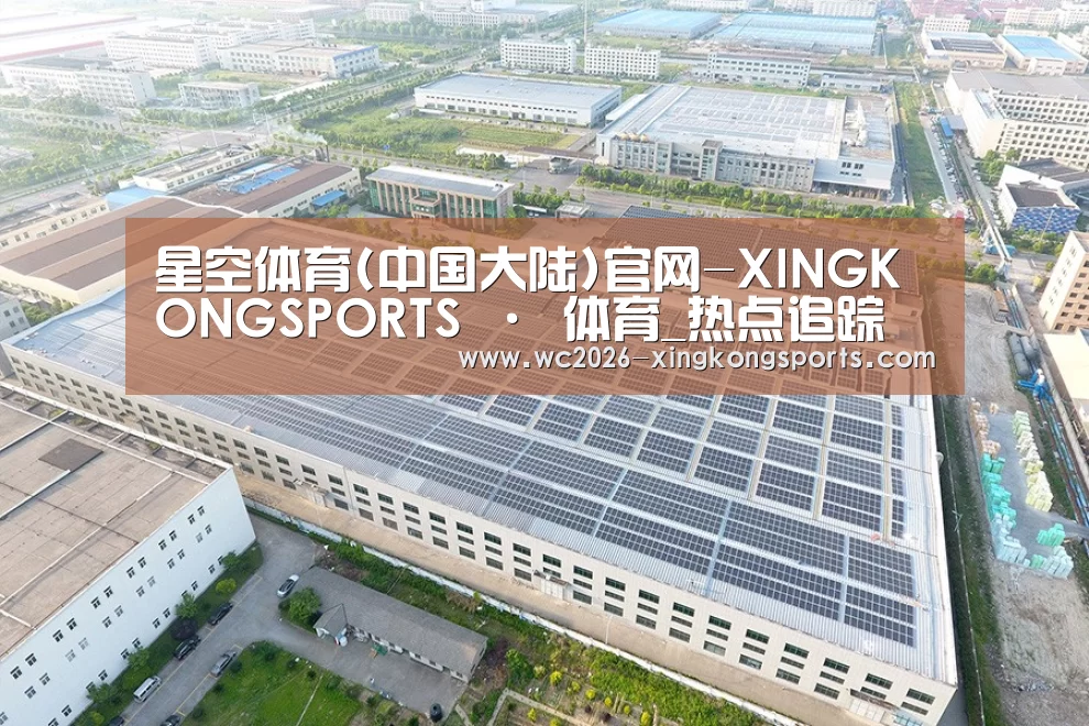 案例展示二