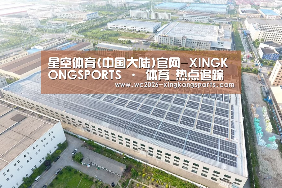 案例展示三