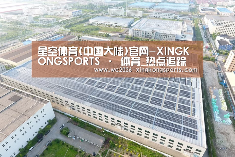 案例展示四